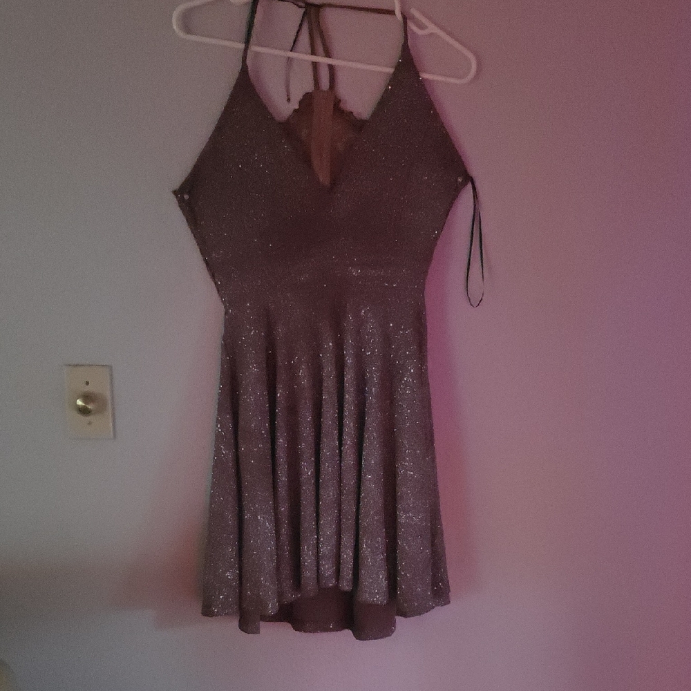 Windsor Elegant Purple Dress